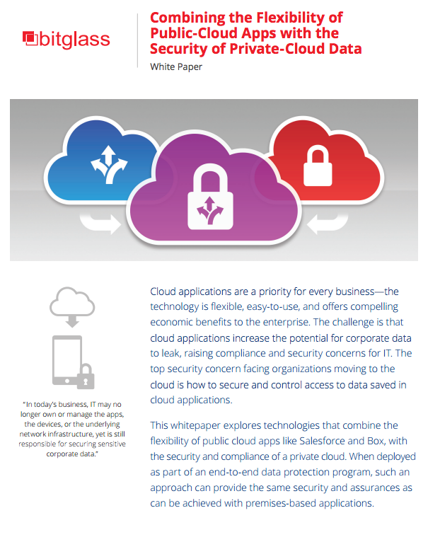 Combining the Flexibility of Public Cloud Apps with the Security of Private Cloud Data