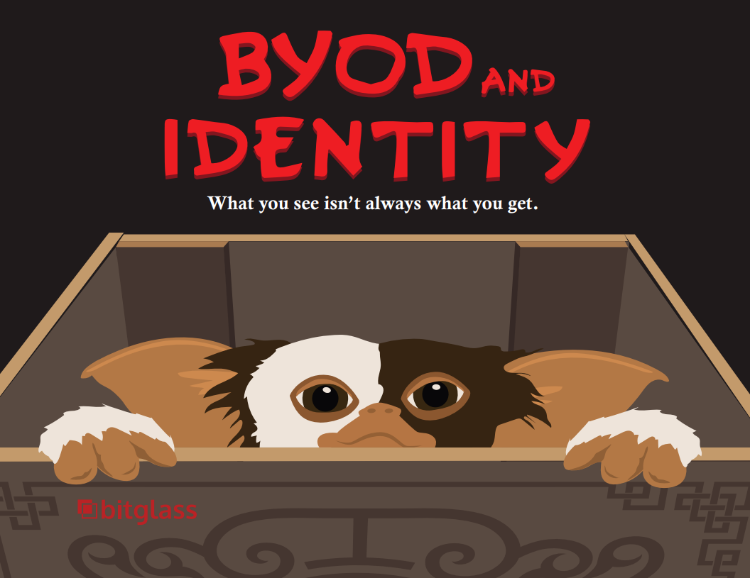 BYOD and Identity